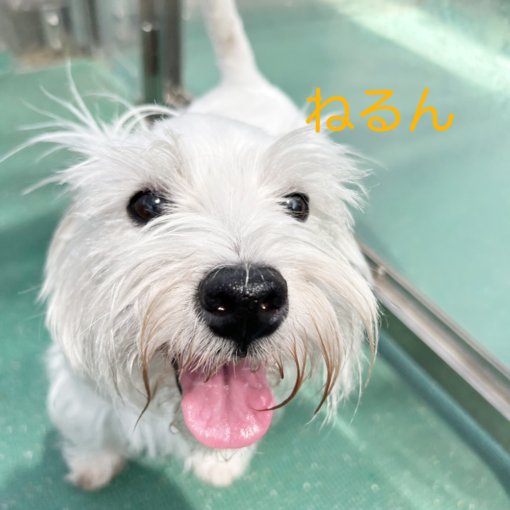 生徒が撮影した写真☆☆☆②